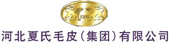 山東正琪門(mén)業(yè)有限公司